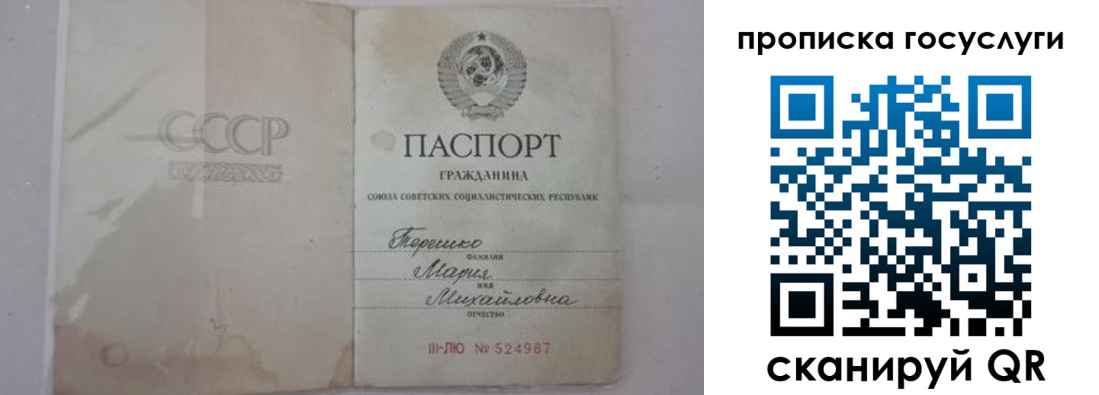 прописка ребенка в Бокситогорске